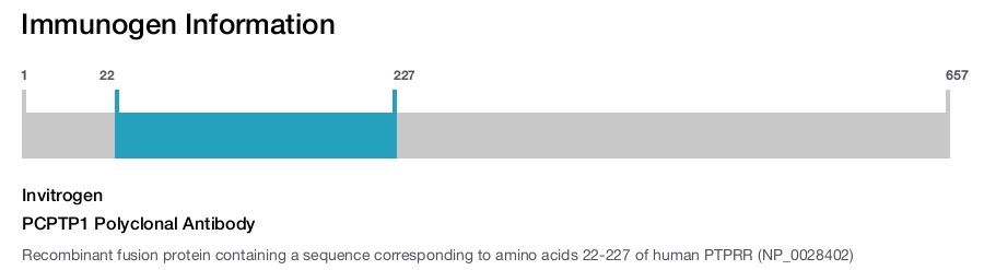 PCPTP1 Polyclonal Antibody