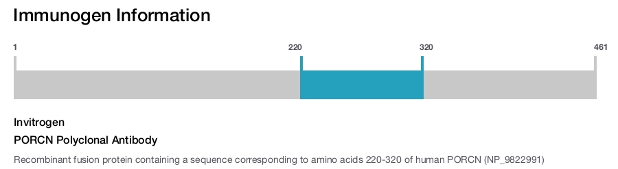 PORCN Polyclonal Antibody