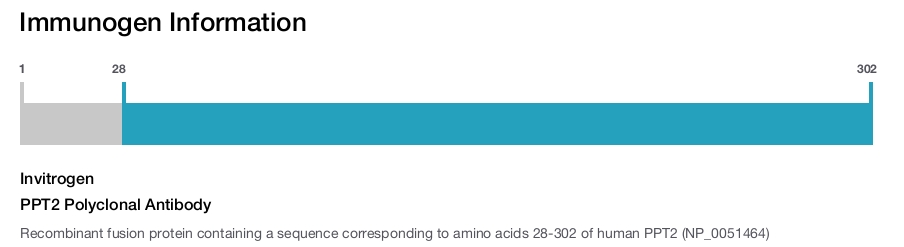 PPT2 Polyclonal Antibody