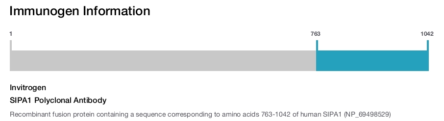 SIPA1 Polyclonal Antibody