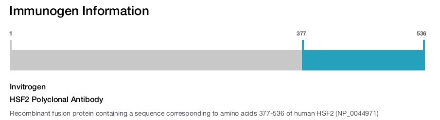 HSF2 Polyclonal Antibody