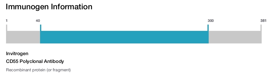 CD55 Polyclonal Antibody