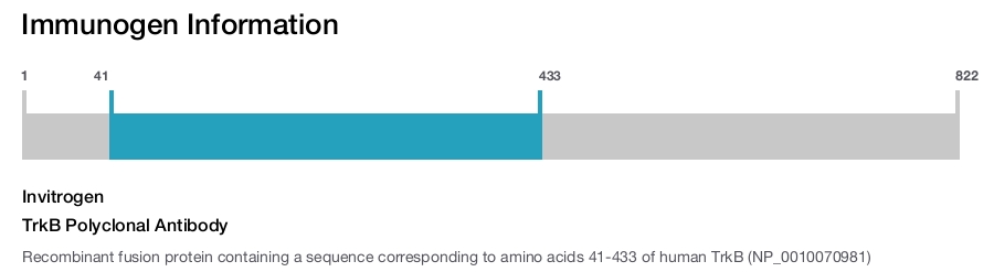 TrkB Polyclonal Antibody