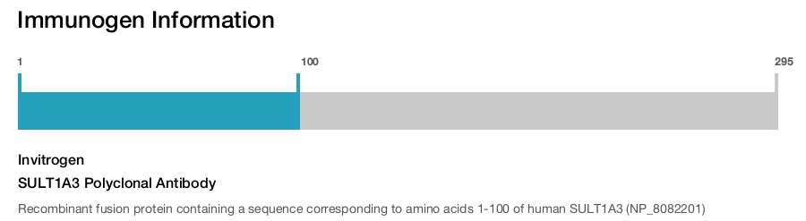 SULT1A3 Polyclonal Antibody