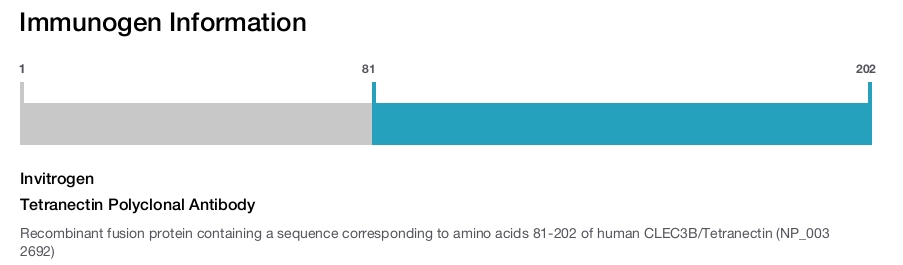 Tetranectin Polyclonal Antibody