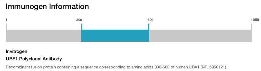 UBE1 Polyclonal Antibody