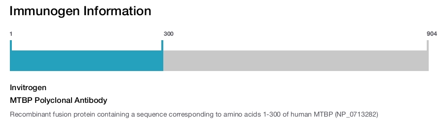 MTBP Polyclonal Antibody