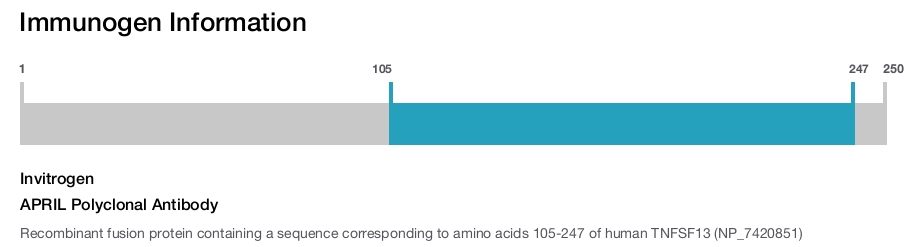APRIL Polyclonal Antibody