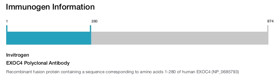 EXOC4 Polyclonal Antibody