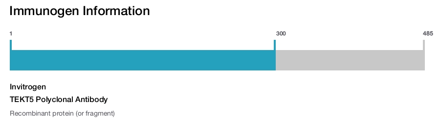 TEKT5 Polyclonal Antibody