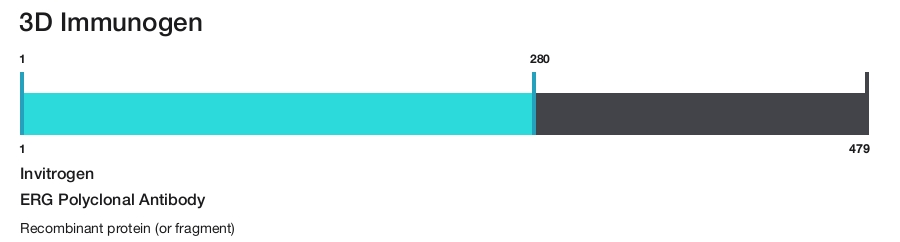 ERG Polyclonal Antibody