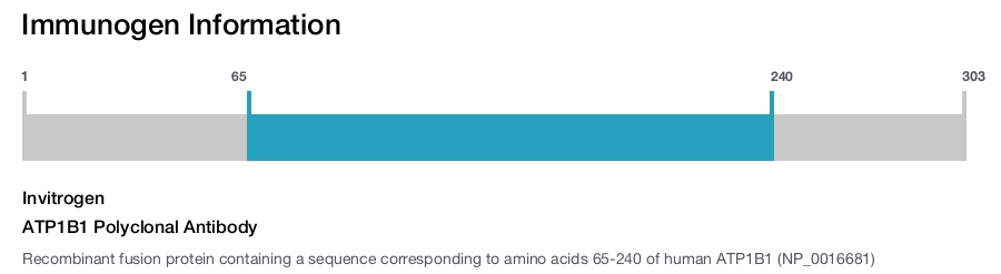 ATP1B1 Polyclonal Antibody