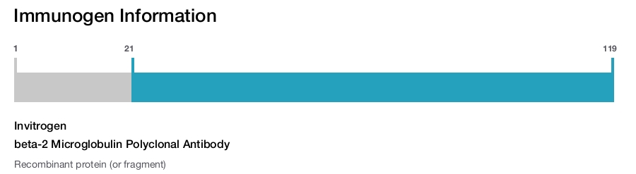 beta-2 Microglobulin Polyclonal Antibody