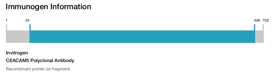 CEACAM5 Polyclonal Antibody