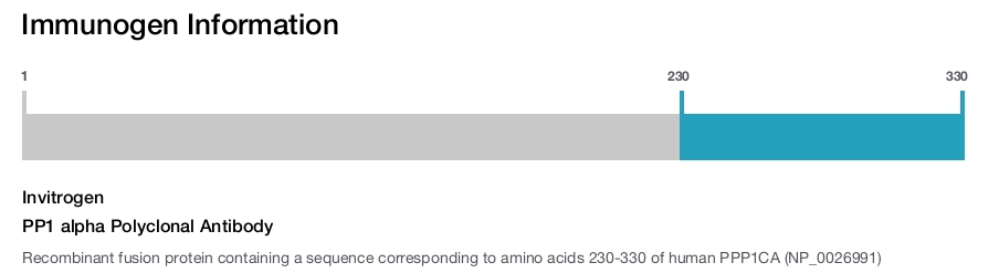 PP1 alpha Polyclonal Antibody