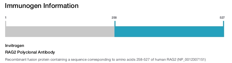RAG2 Polyclonal Antibody