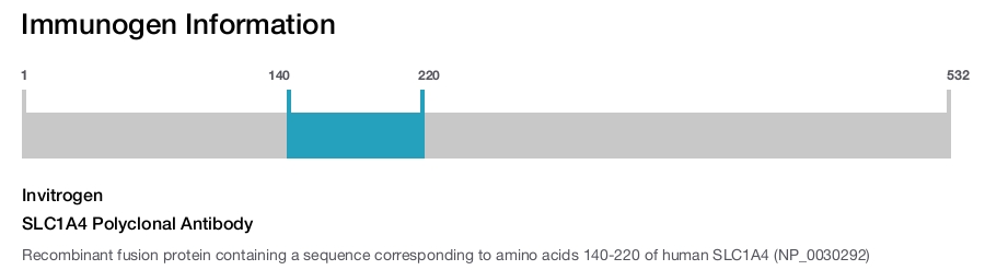 SLC1A4 Polyclonal Antibody