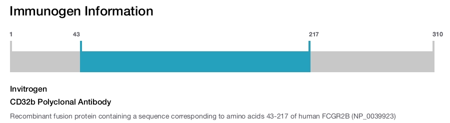 CD32b Polyclonal Antibody
