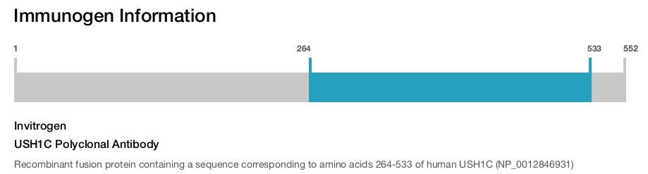 USH1C Polyclonal Antibody