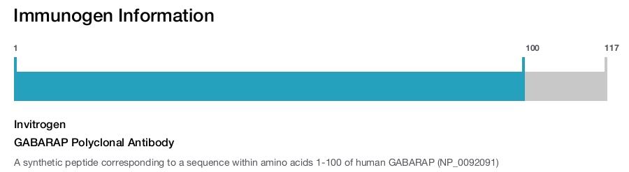 GABARAP Polyclonal Antibody