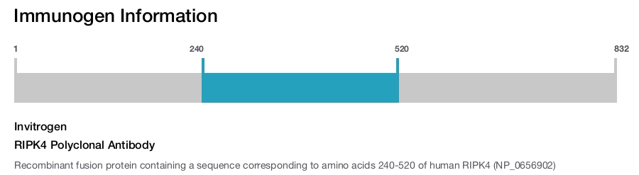 RIPK4 Polyclonal Antibody