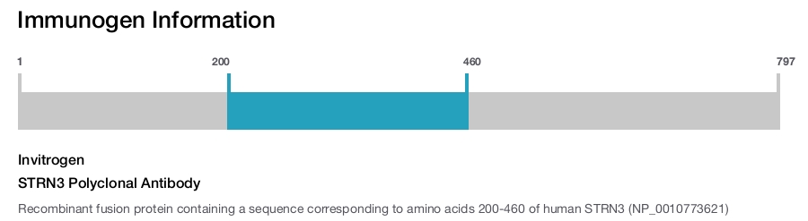 STRN3 Polyclonal Antibody