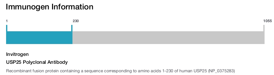 USP25 Polyclonal Antibody