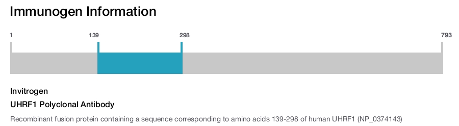 UHRF1 Polyclonal Antibody