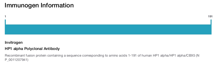 HP1 alpha Polyclonal Antibody
