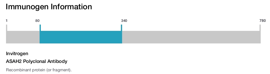 ASAH2 Polyclonal Antibody