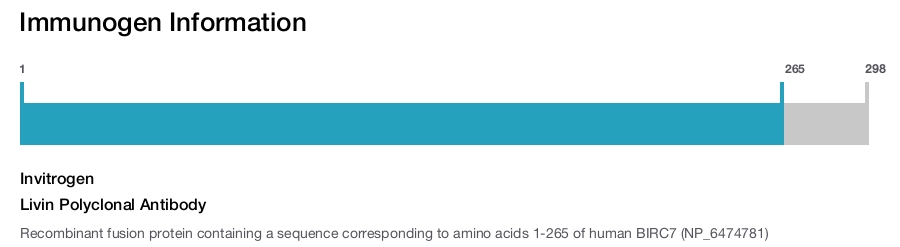Livin Polyclonal Antibody