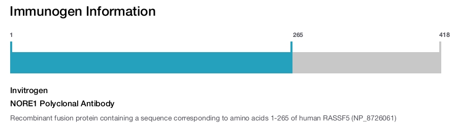 NORE1 Polyclonal Antibody