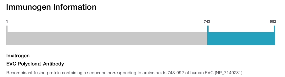 EVC Polyclonal Antibody