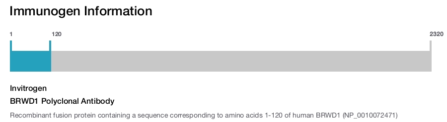BRWD1 Polyclonal Antibody