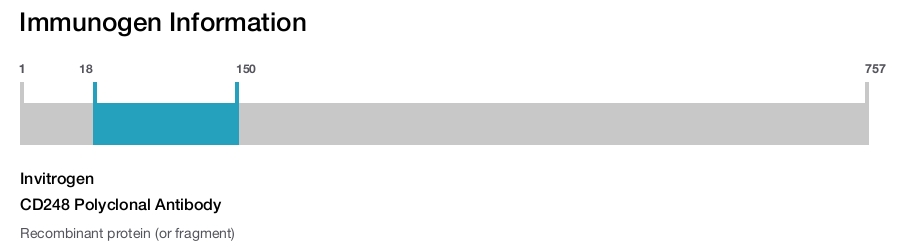 CD248 Polyclonal Antibody