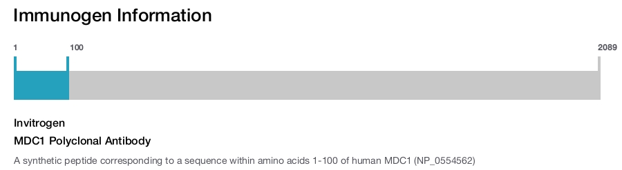 MDC1 Polyclonal Antibody