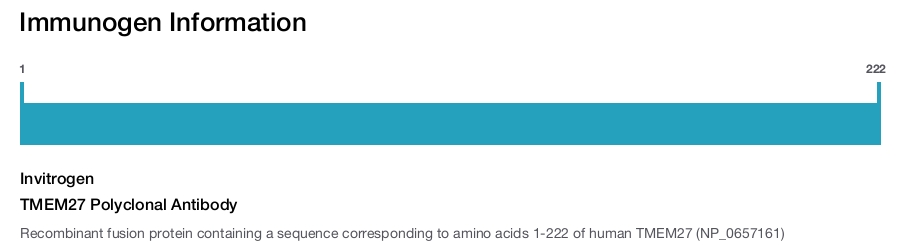TMEM27 Polyclonal Antibody