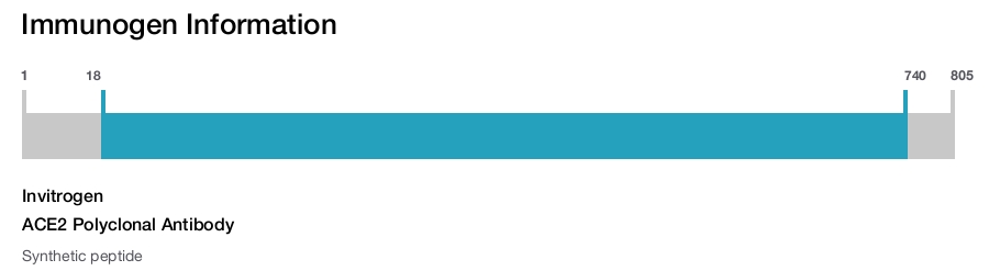 ACE2 Polyclonal Antibody