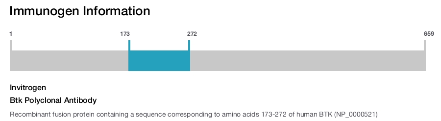 Btk Polyclonal Antibody