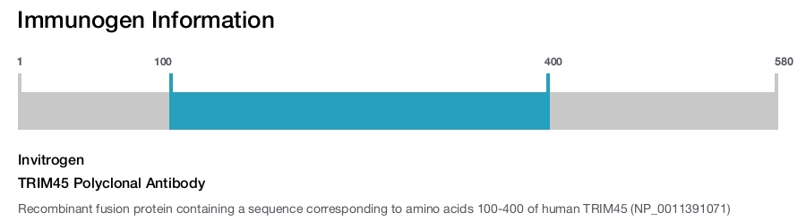 TRIM45 Polyclonal Antibody
