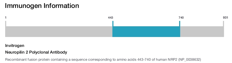 Neuropilin 2 Polyclonal Antibody