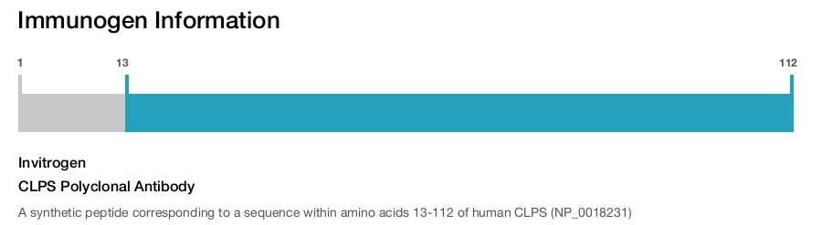 CLPS Polyclonal Antibody