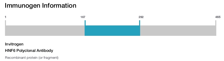 HNF6 Polyclonal Antibody