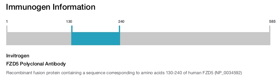 FZD5 Polyclonal Antibody