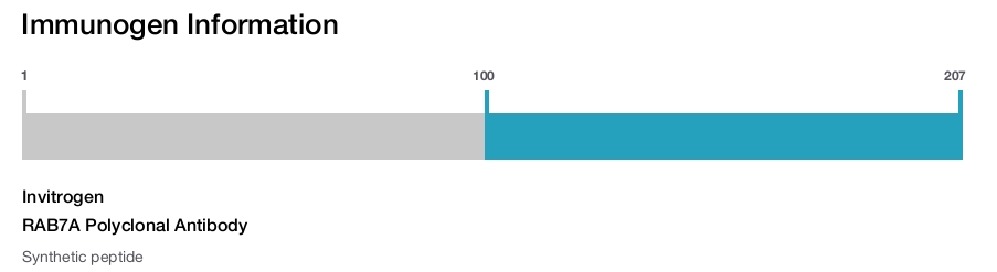 RAB7A Polyclonal Antibody