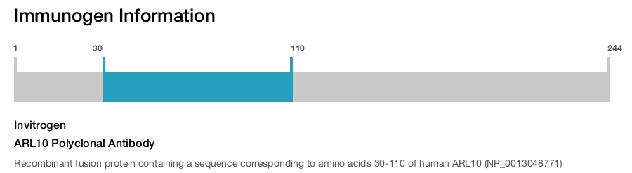 ARL10 Polyclonal Antibody