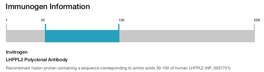 LHFPL2 Polyclonal Antibody
