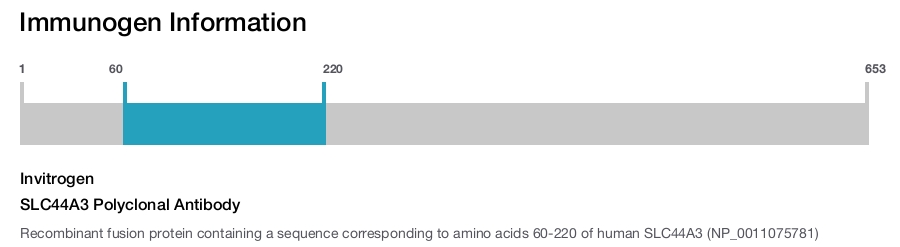 SLC44A3 Polyclonal Antibody