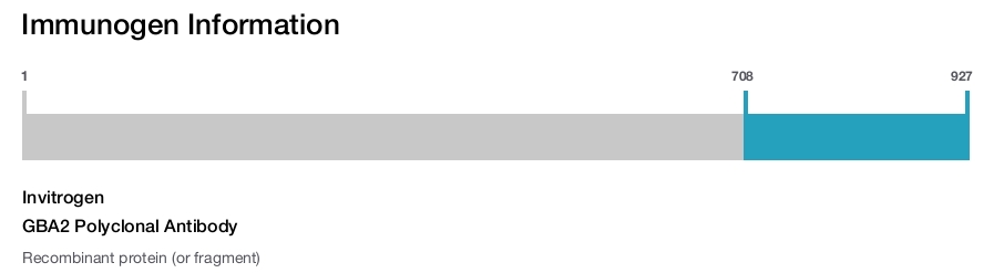 GBA2 Polyclonal Antibody