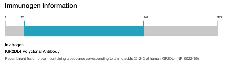KIR2DL4 Polyclonal Antibody